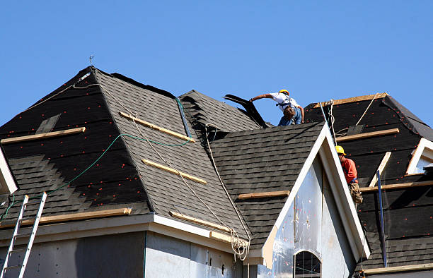 Best Roof Gutter Cleaning  in Riverview, MI