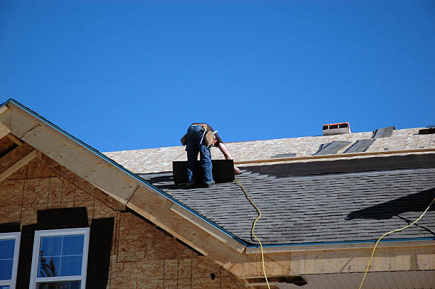 Best Roof Gutter Cleaning  in Riverview, MI