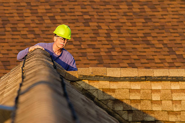 Professional Roofing Contractor in Riverview, MI