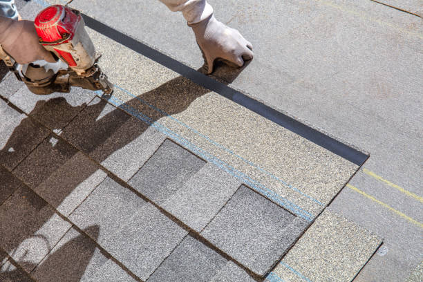 Best Shingle Roofing Installation  in Riverview, MI